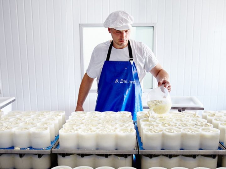 Meet Krisztian, Supervising Award Winning Cheese Production
