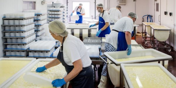 Hampshire Cheese team making cheese in the creamery