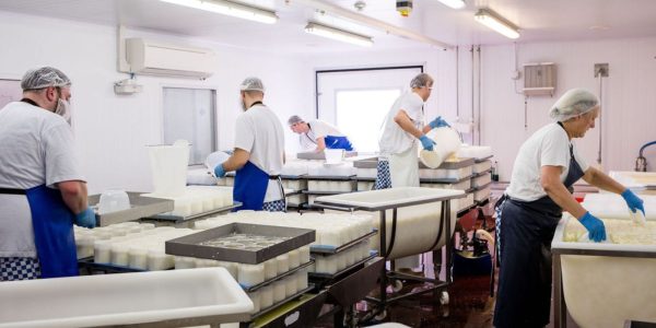 The cheesemaking team working at the Creamery at Hampshire Cheese Company